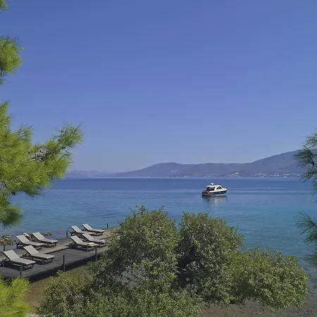 Amanruya Τόρμπα
