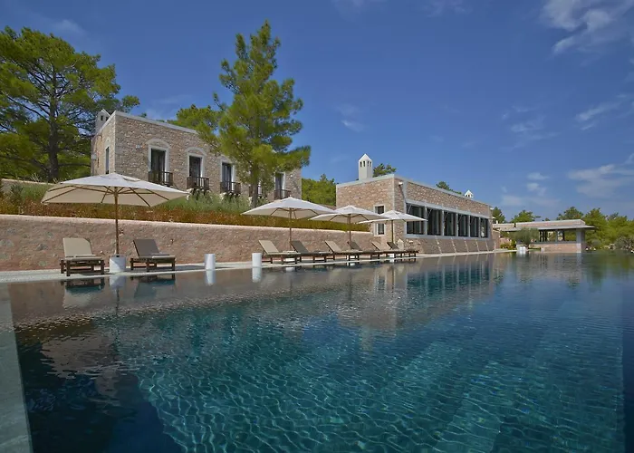 Feriested Amanruya *