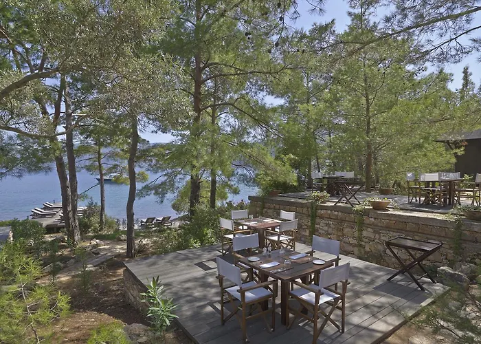 Amanruya Feriested *